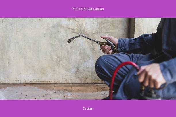 PEST CONTROL Capitan